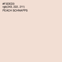 #F3DED3 - Peach Schnapps Color Image